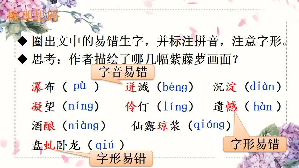 18 紫藤萝瀑布（课件1）_04.webp