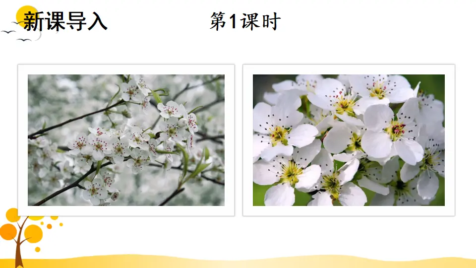 15 驿路梨花（课件1）_02.webp