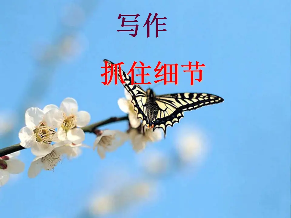第三单元写作抓住细节主课件_01.webp