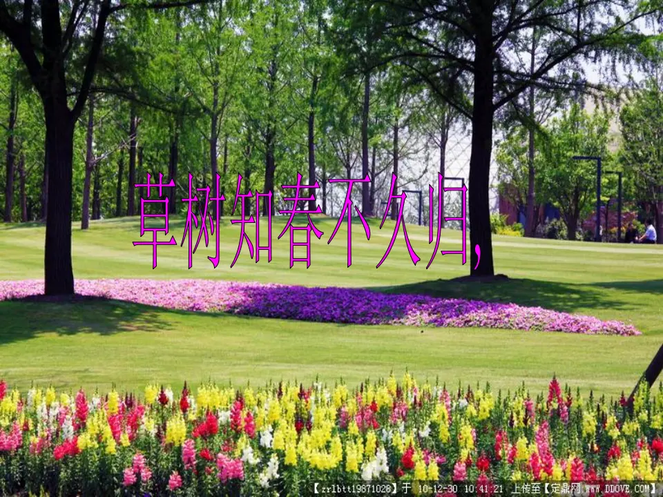 晚春2（课件2）_03.webp