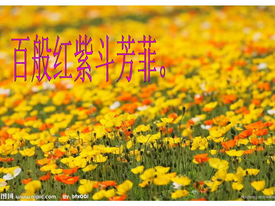晚春2（课件2）_04.webp