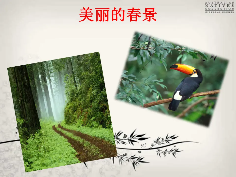 晚春1（课件2）_03.webp