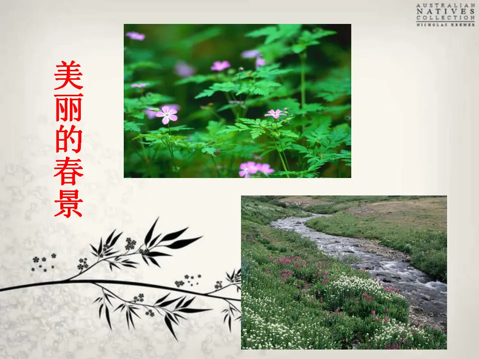 晚春1（课件2）_05.webp