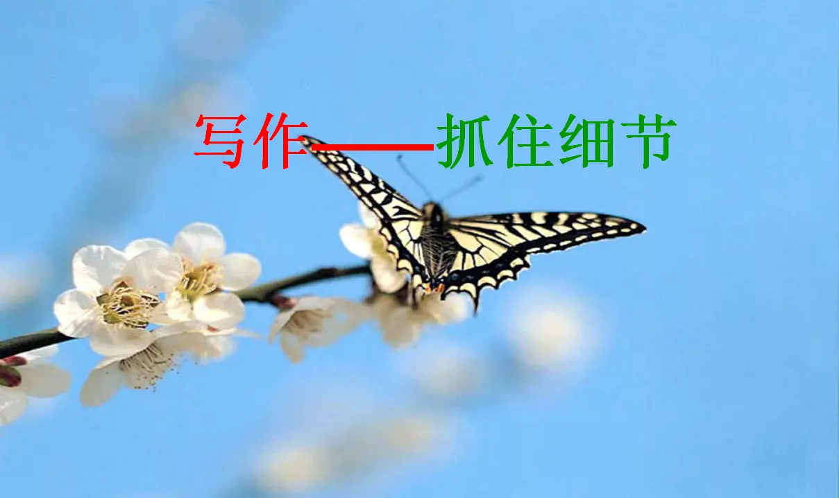 抓住细节1（课件2）_01.webp