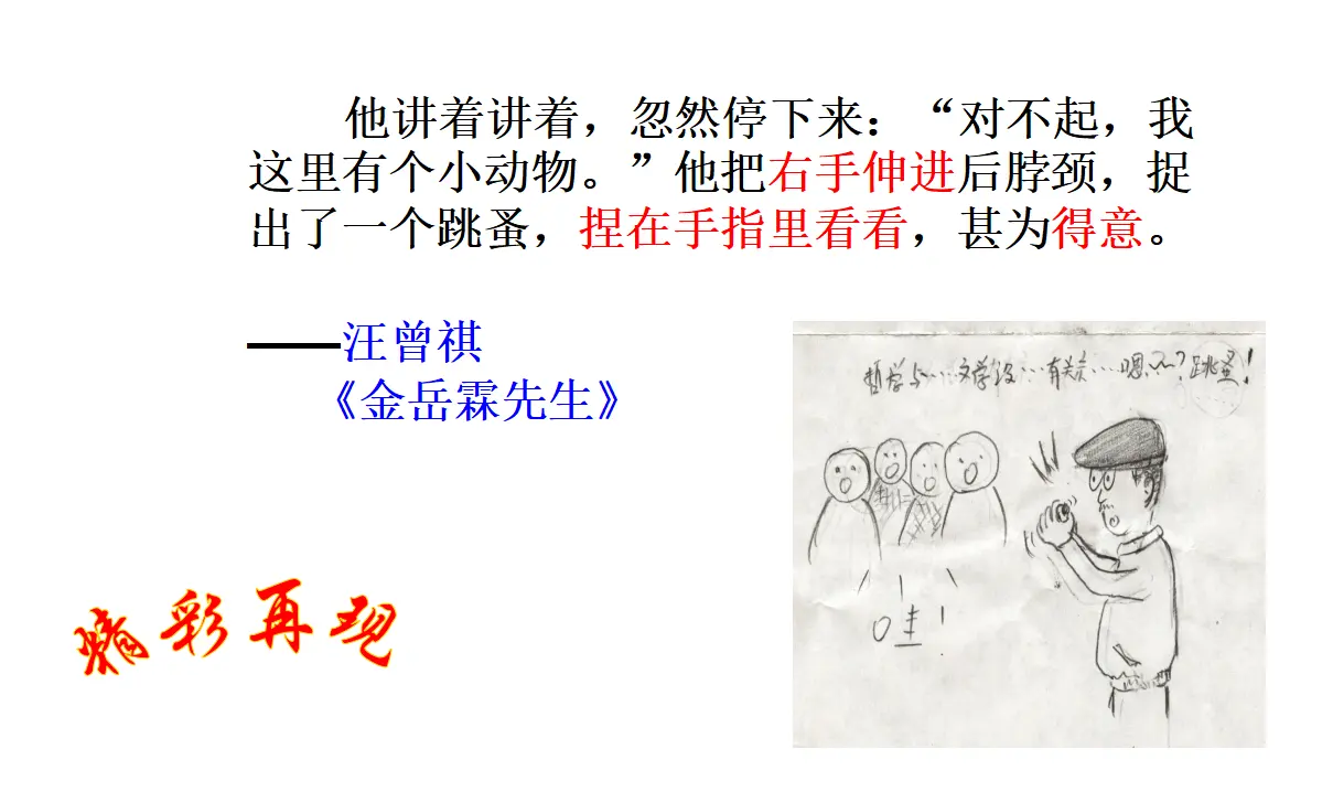 抓住细节1（课件2）_03.webp