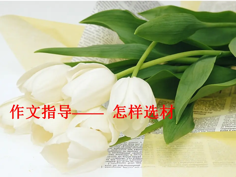 怎样选材3（课件2）_03.webp