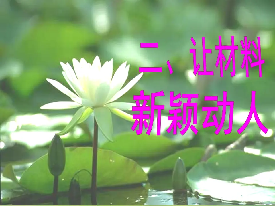 怎样选材3（课件2）_05.webp