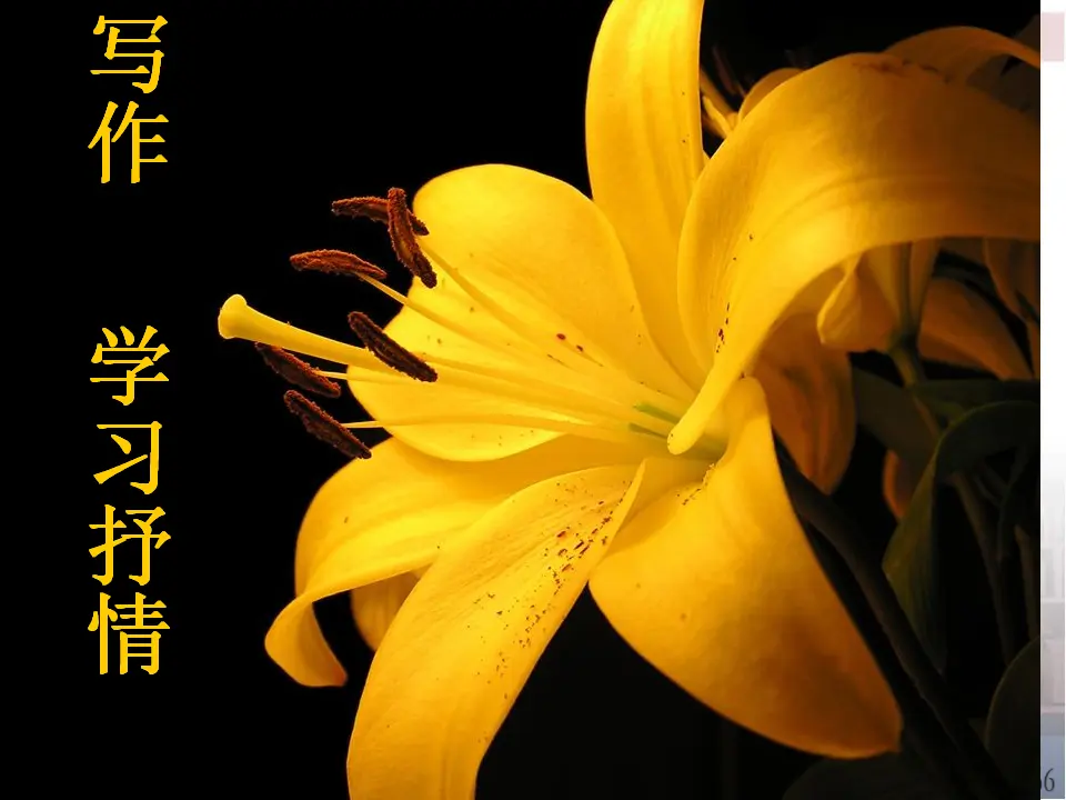 学习抒情7（课件2）_01.webp