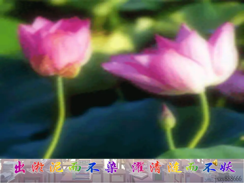 学习抒情7（课件2）_04.webp