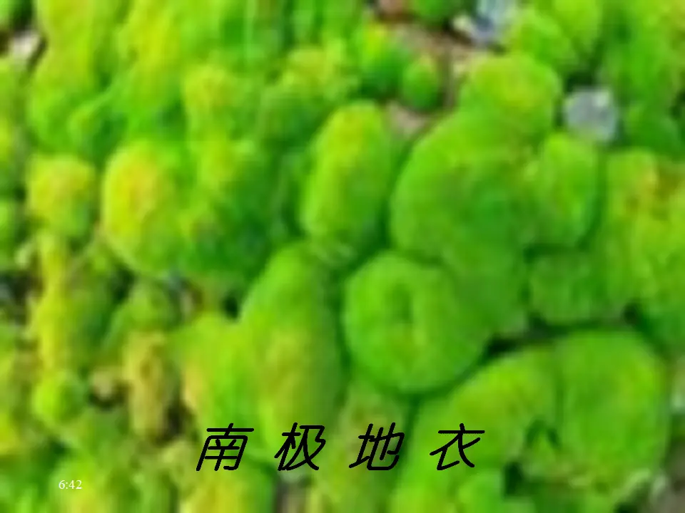 22伟大的悲剧主课件_05.webp