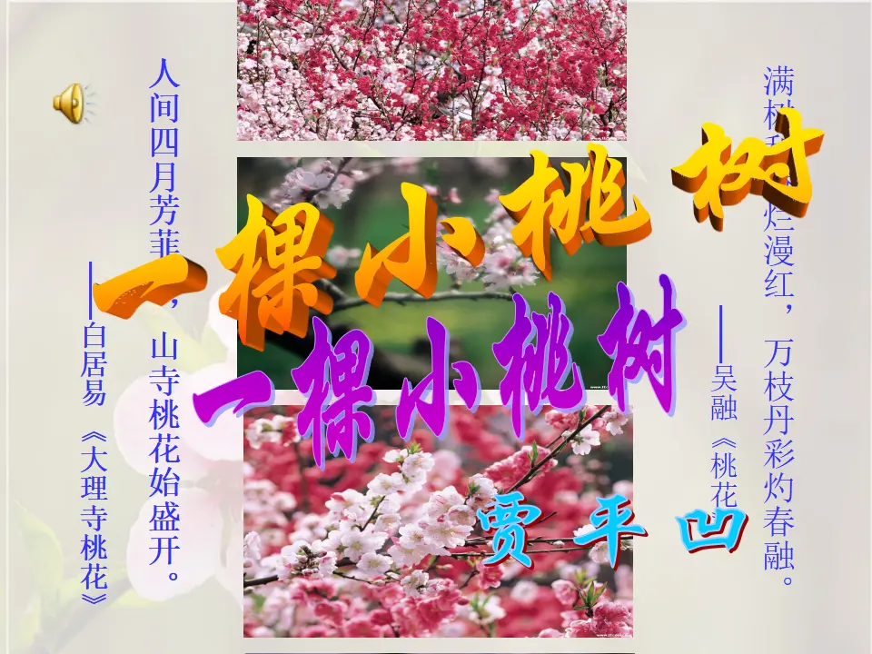 19一棵小桃树主课件_03.webp