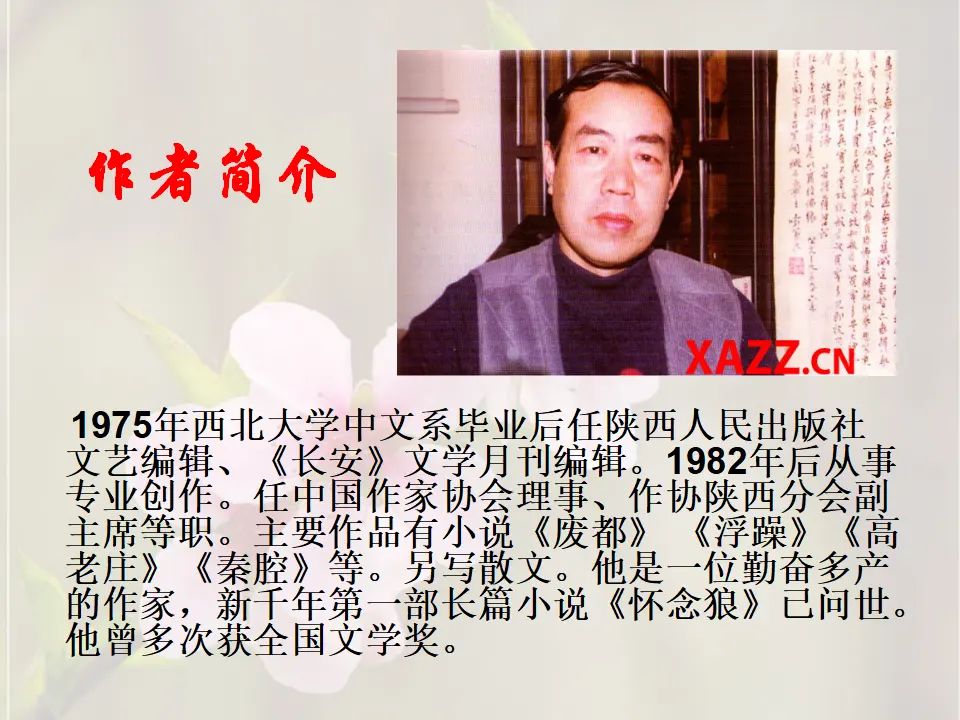 19一棵小桃树主课件_05.webp