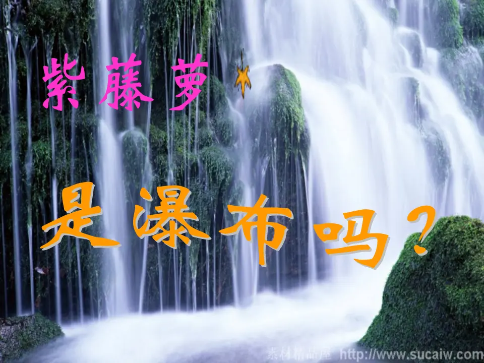 18紫藤萝瀑布主课件_05.webp