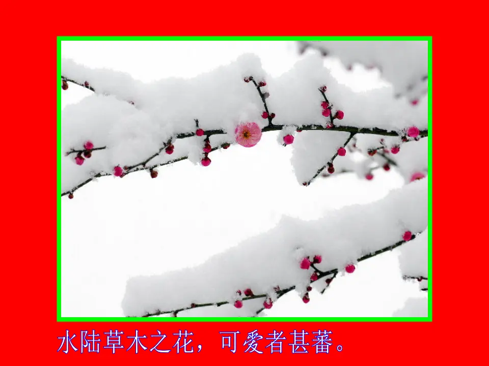 17爱莲说PPT视频朗读（课件2）_02.webp