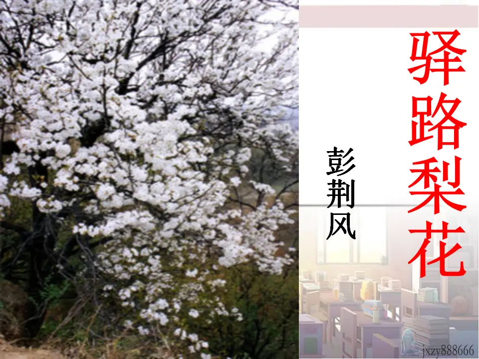 15驿路梨花主课件_01.webp
