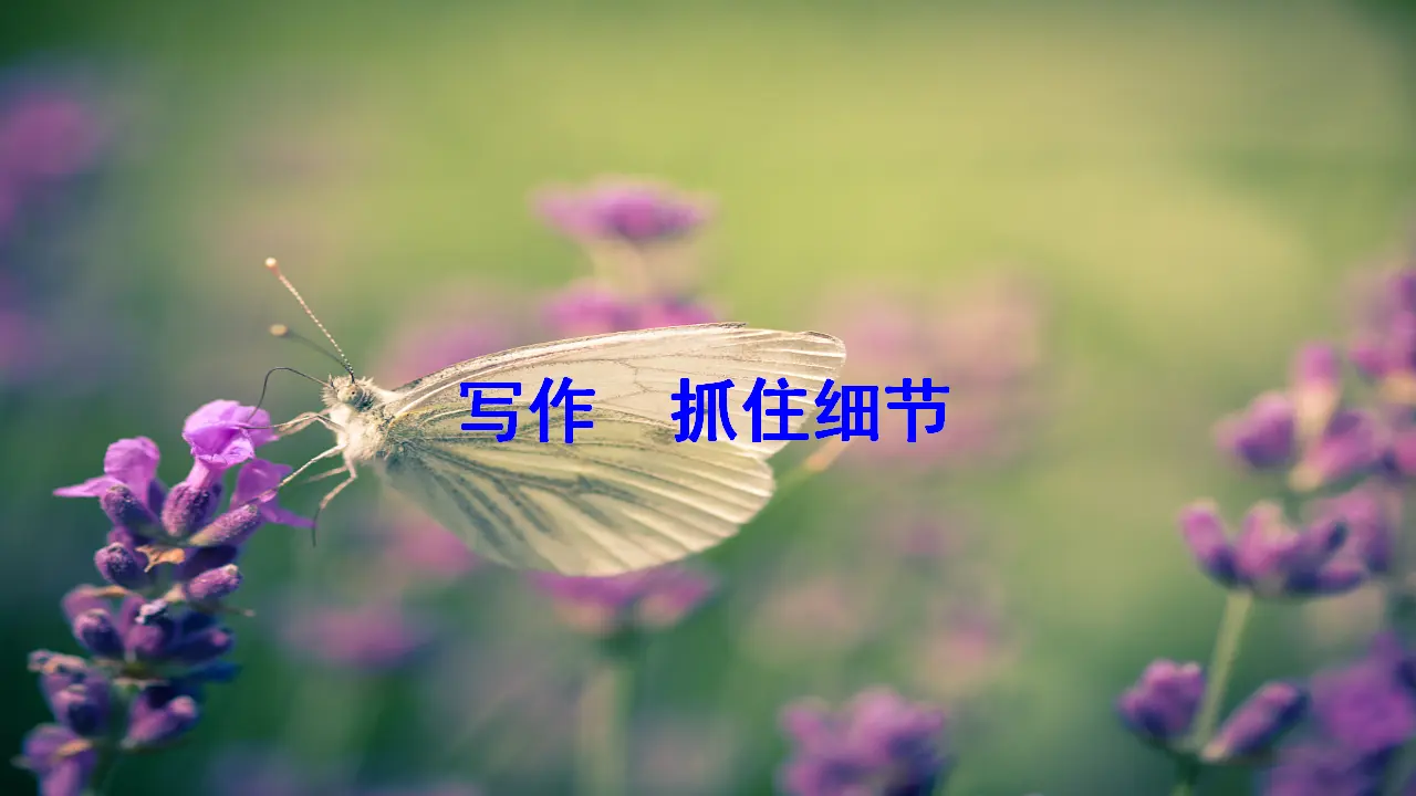 写作 抓住细节（课件3）_01.webp