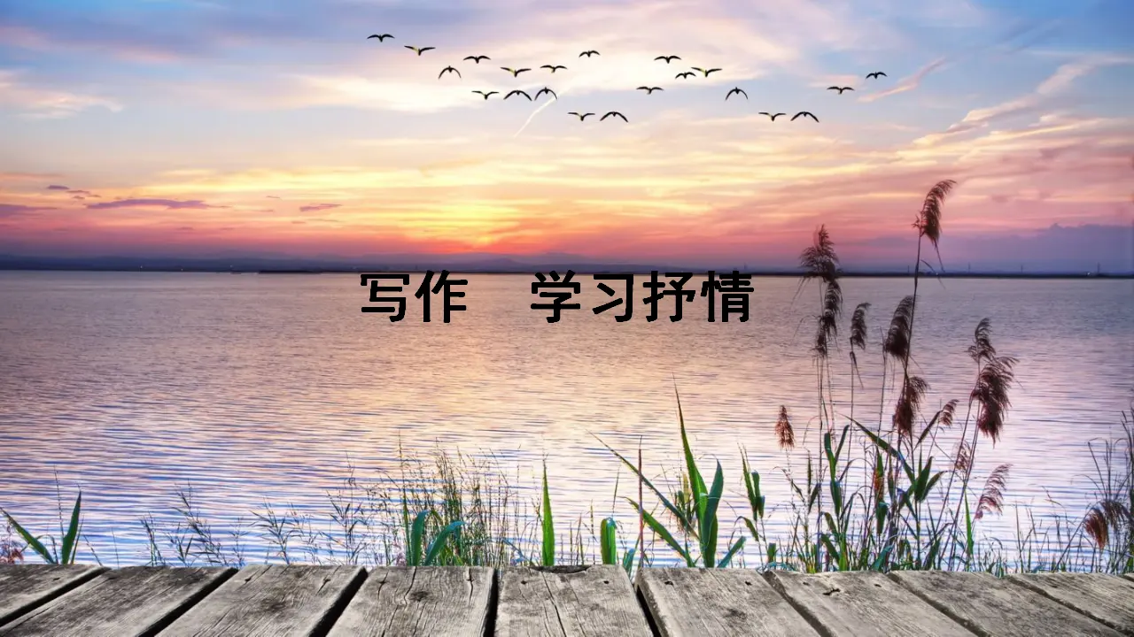 写作  学习抒情（课件3）_01.webp
