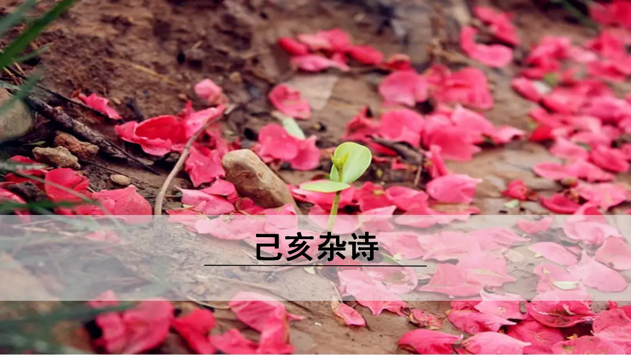 5.己亥杂诗（其五）（课件3）_01.webp