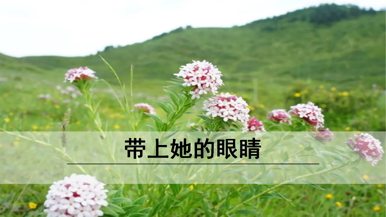 24《带上她的眼睛》（课件3）_01.webp