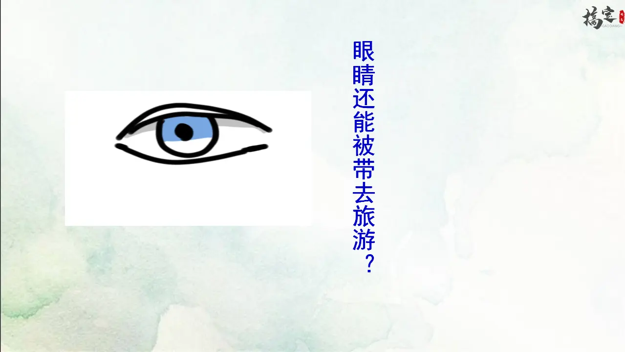 24《带上她的眼睛》（课件3）_04.webp