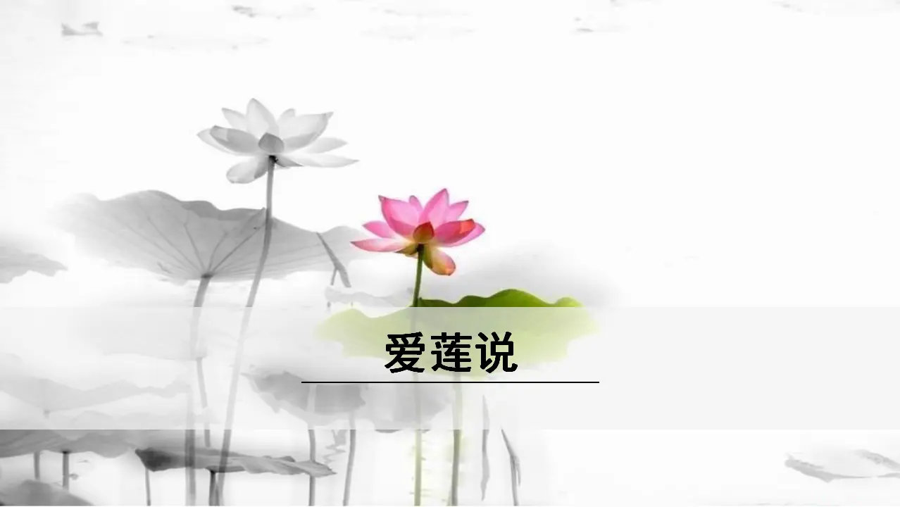 2.爱莲说（课件3）_01.webp
