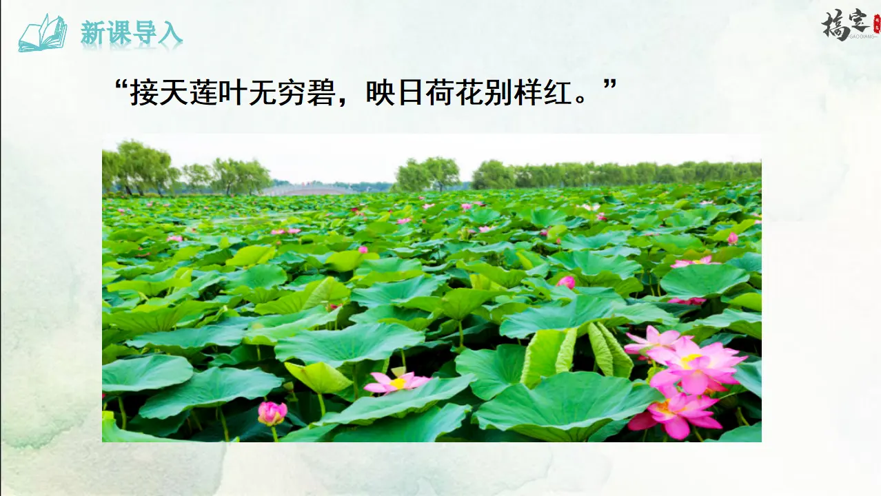 2.爱莲说（课件3）_03.webp