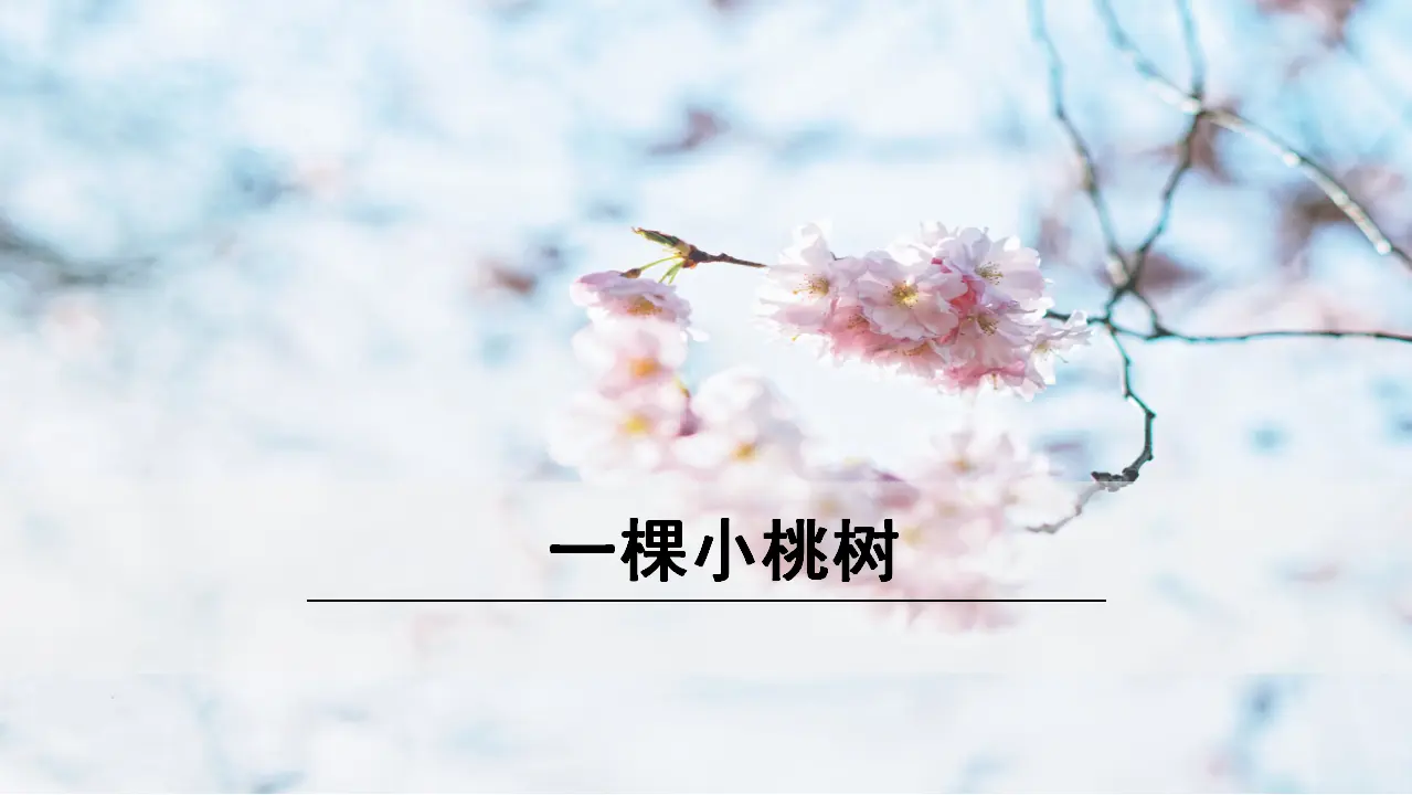 19《 一棵小桃树》（课件3）_01.webp