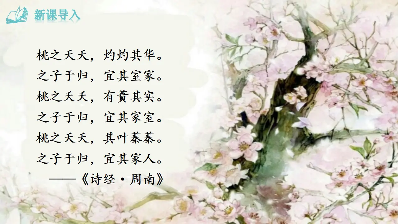 19《 一棵小桃树》（课件3）_03.webp