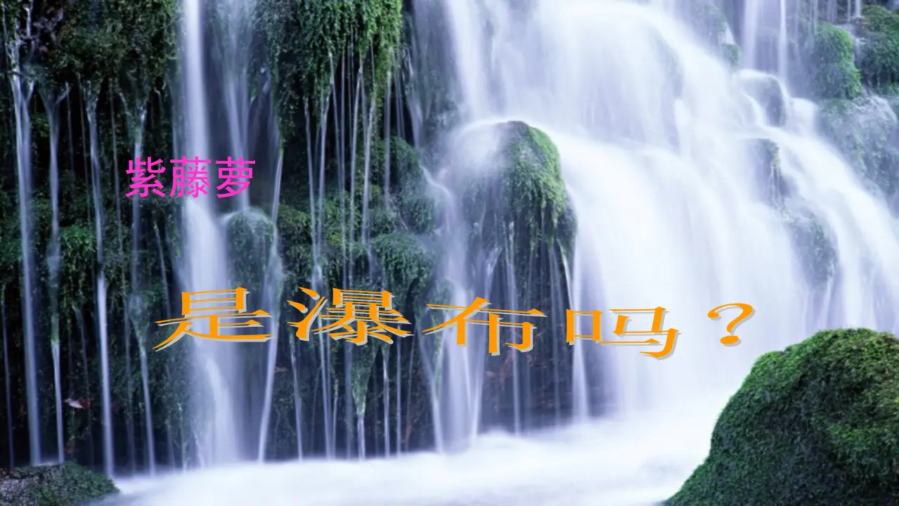 18《紫藤萝瀑布》（课件3）_04.webp
