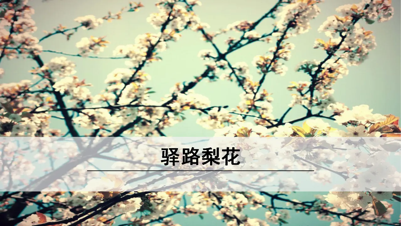 15《 驿路梨花》（课件3）_01.webp
