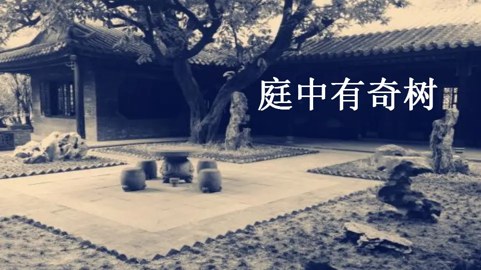 课外古诗词诵读【教案匹配版】（课件1）_03.webp