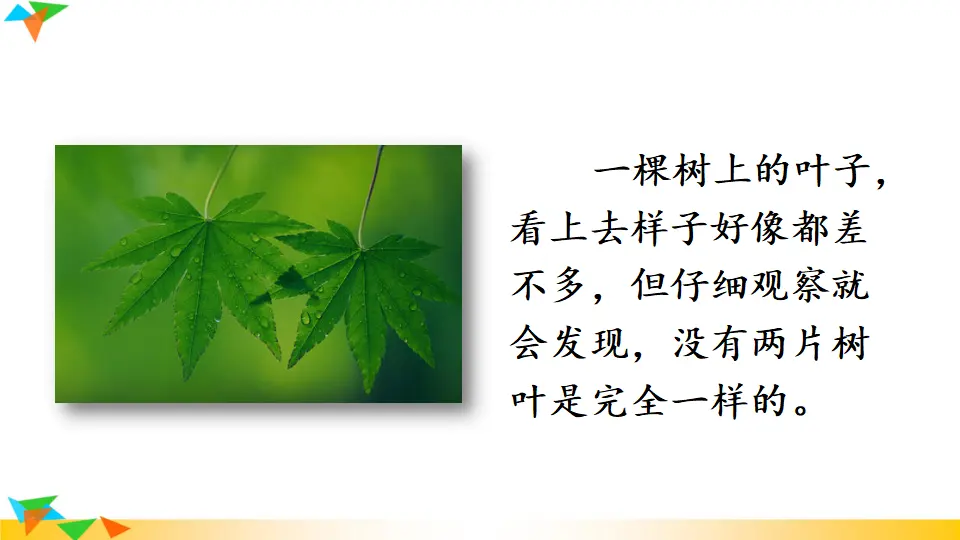 写作 说明事物要抓住特征【教案匹配版】（课件1）_03.webp