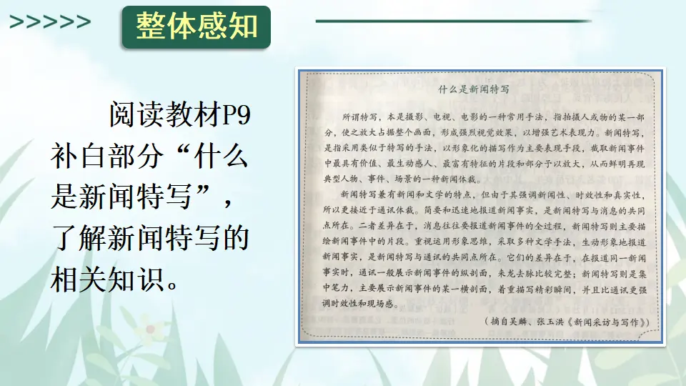 3 “飞天”凌空——跳水姑娘吕伟夺魁记【教案匹配版】（课件1）_04.webp