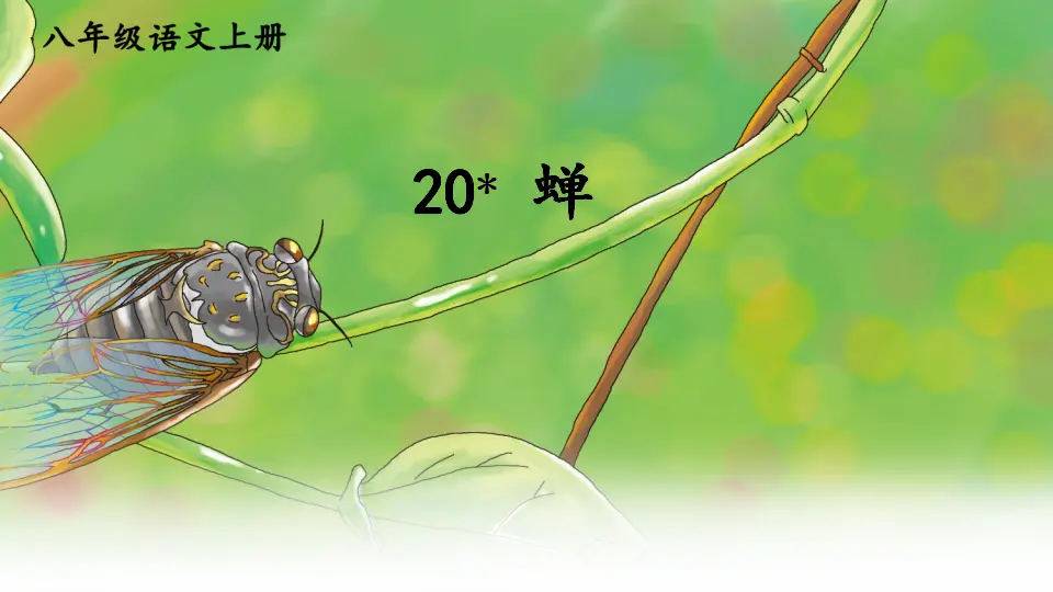 20 蝉【教案匹配版】（课件1）_01.webp