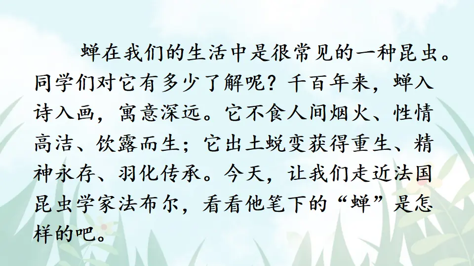 20 蝉【教案匹配版】（课件1）_03.webp