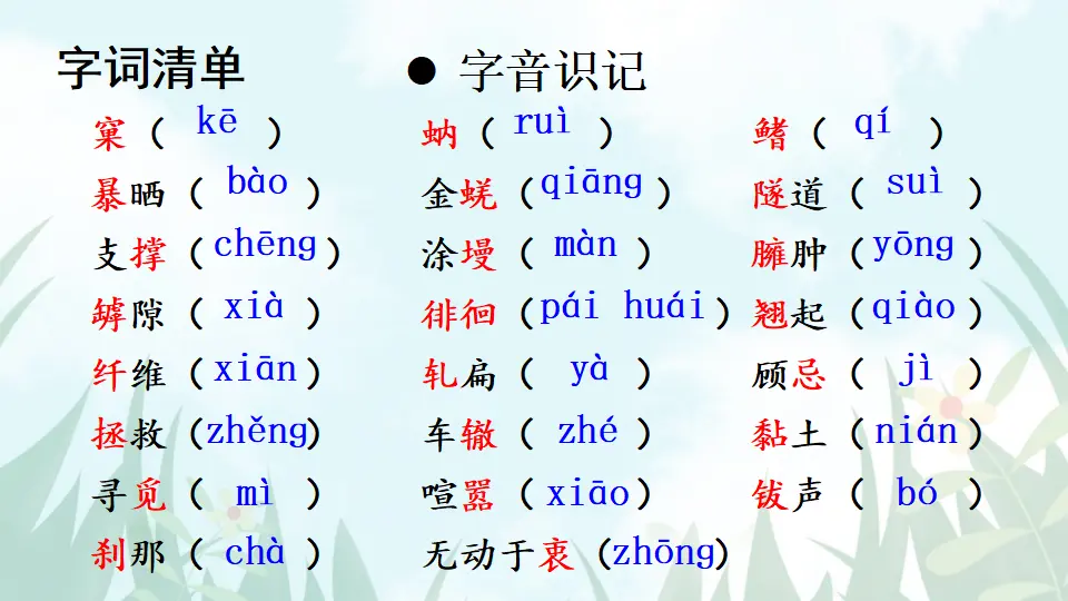 20 蝉【教案匹配版】（课件1）_04.webp