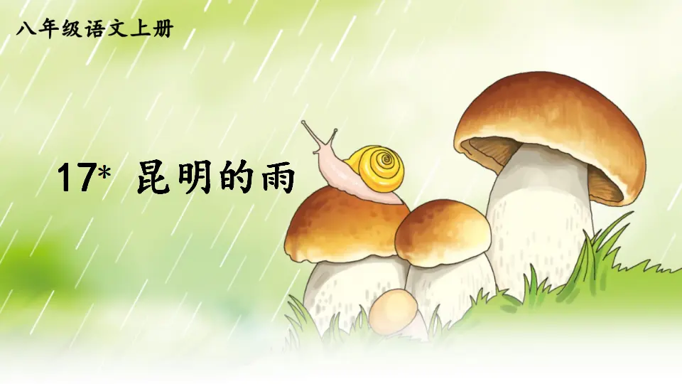 17 昆明的雨【教案匹配版】（课件1）_02.webp
