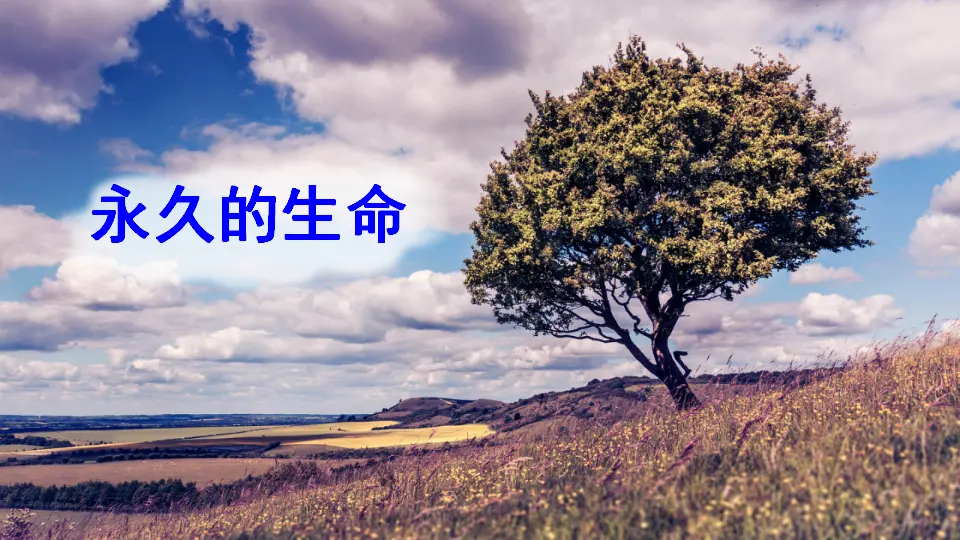 16 散文二篇【教案匹配版】（课件1）_03.webp