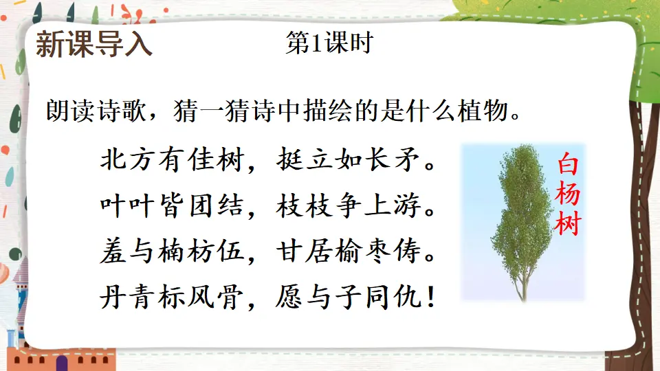 15 白杨礼赞【教案匹配版】（课件1）_02.webp