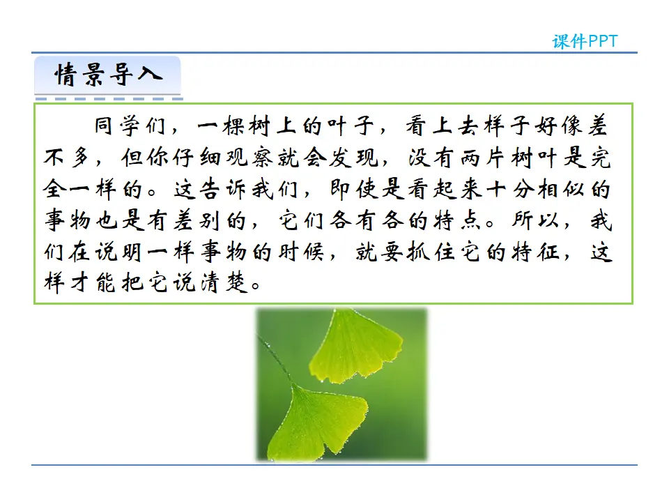第五单元  写作  说明事物要抓住特征（课件2）_03.webp