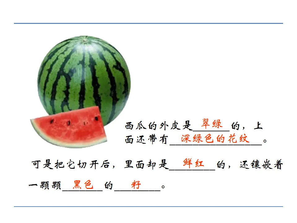 第五单元  写作  说明事物要抓住特征（课件2）_04.webp