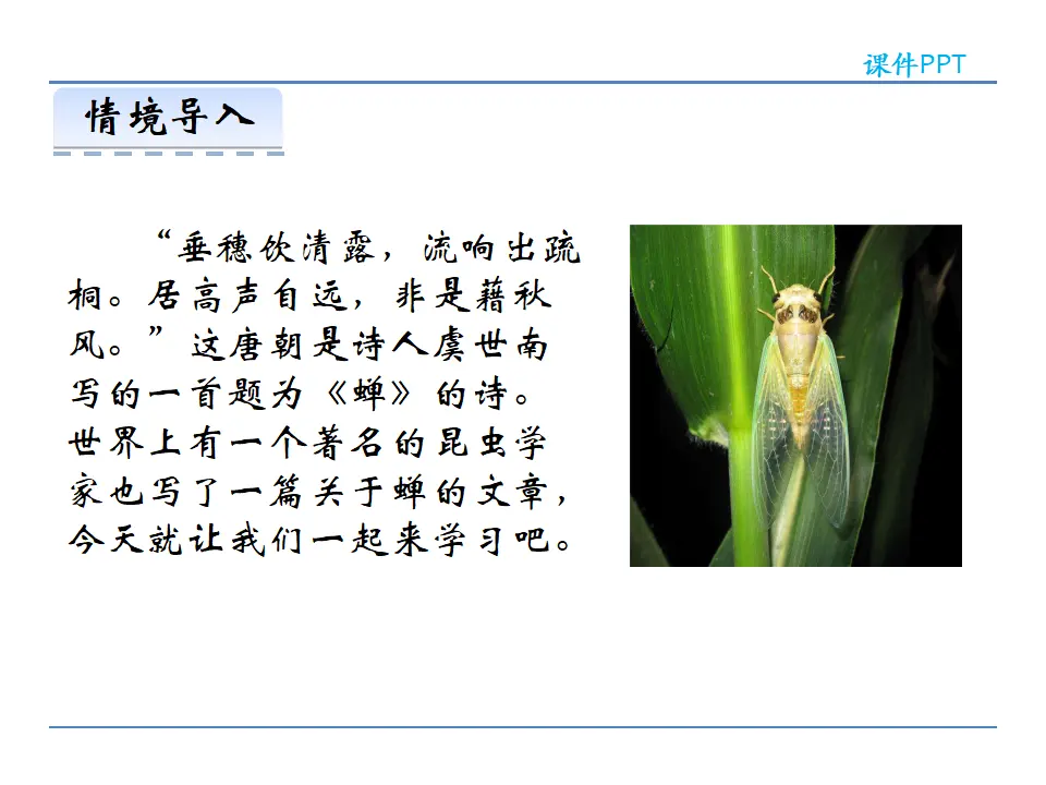 20  蝉（课件2）_02.webp