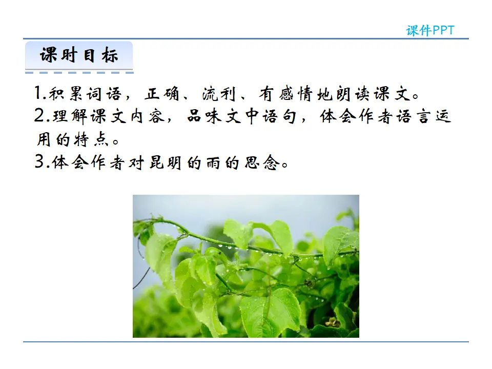17  昆明的雨（课件2）_03.webp