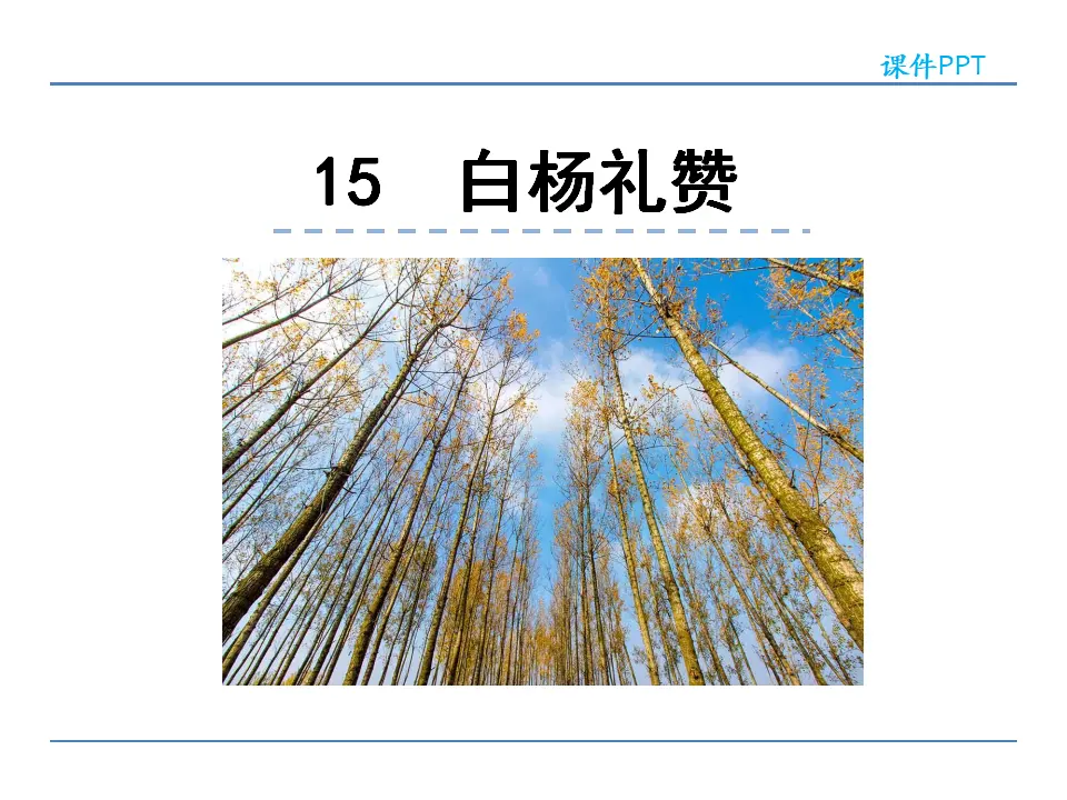 15  白杨礼赞（课件2）_01.webp