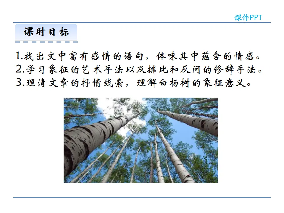 15  白杨礼赞（课件2）_03.webp