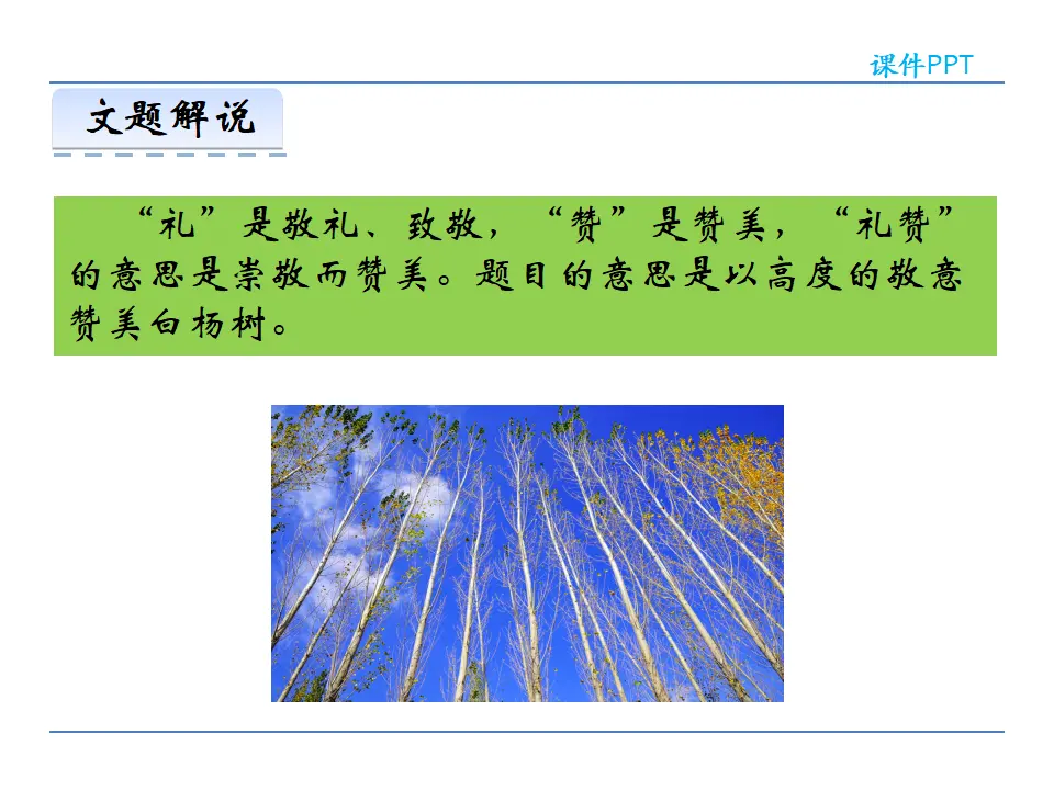 15  白杨礼赞（课件2）_05.webp