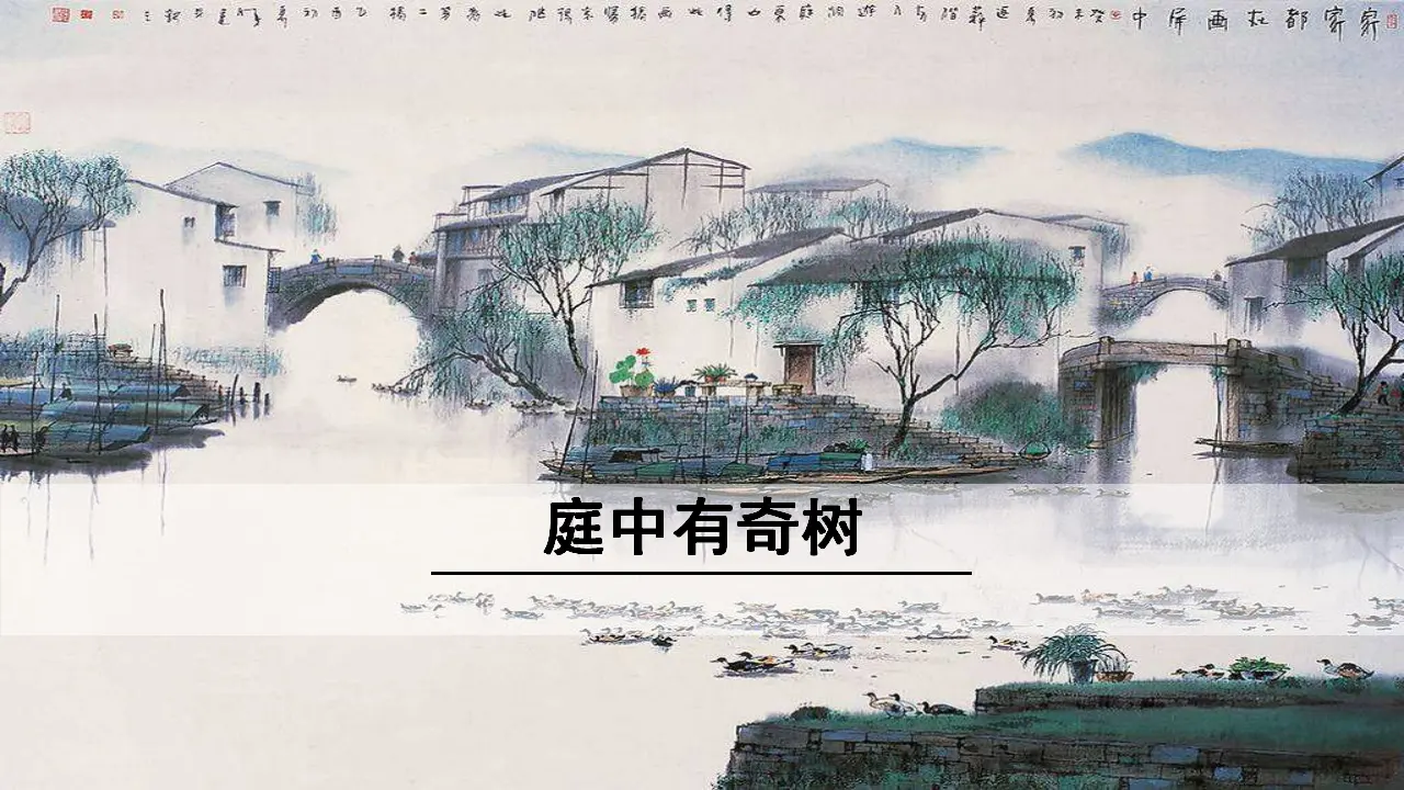 庭中有奇树（课件3）_01.webp