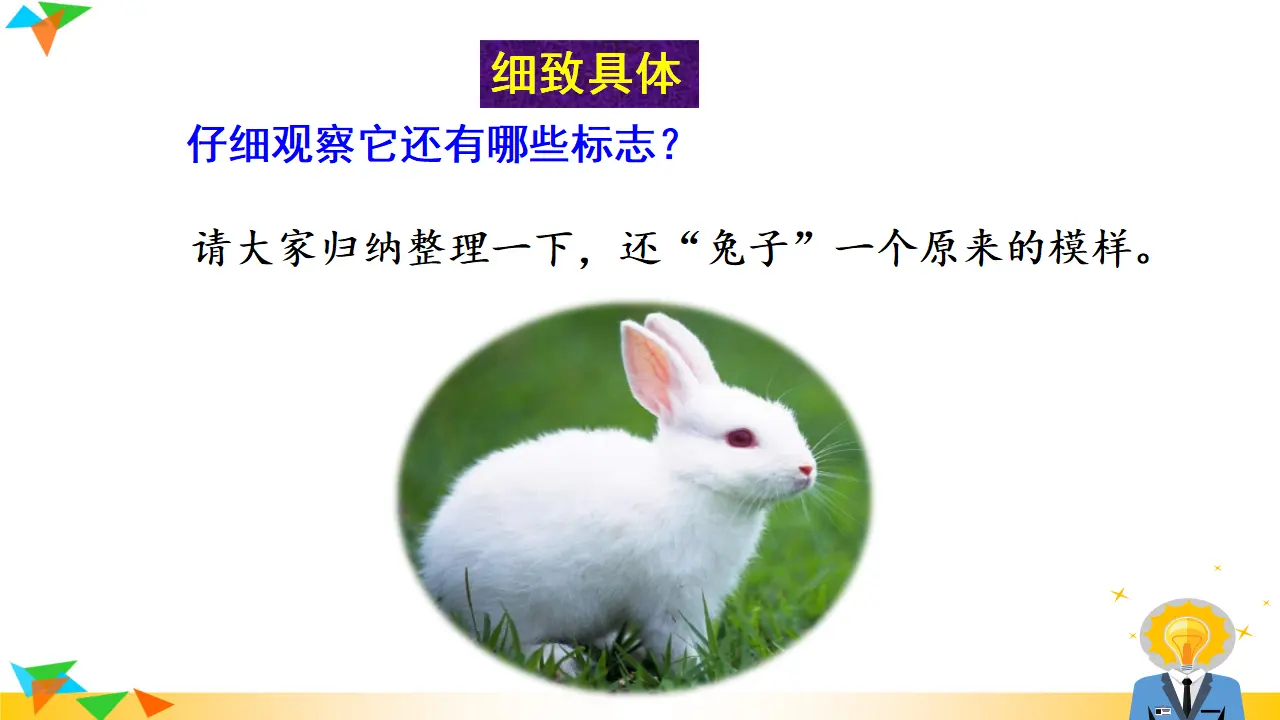 写作  说明事物要抓住特征（课件3）_05.webp