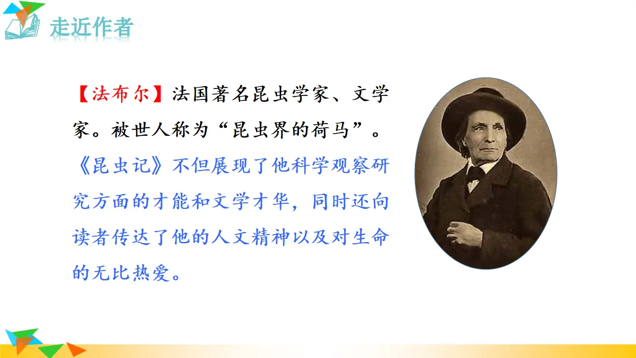 《昆虫记》（课件3）_03.webp