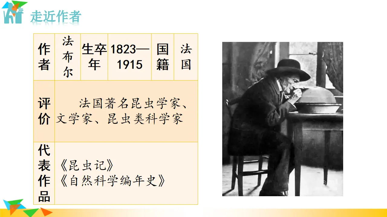 20  蝉（课件3）_04.webp